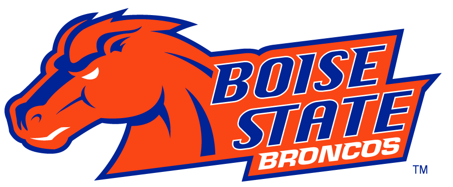 Boise State Broncos 2002-2012 Secondary Logo v30 DIY iron on transfer (heat transfer)